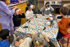 IMG-20241217-WA0022